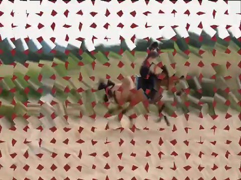 Séance sur les contrats de foulées