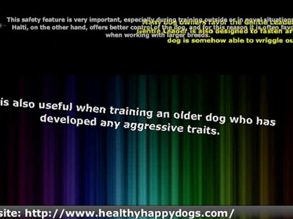 Dog Training With a Halti or General Leader Collar