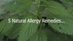 Homeopathic Remedies For Allergies