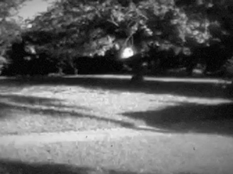 dailymotion.com.Slideshow - Mezcla imágenes y música para realizar una creación única - Dailymotion