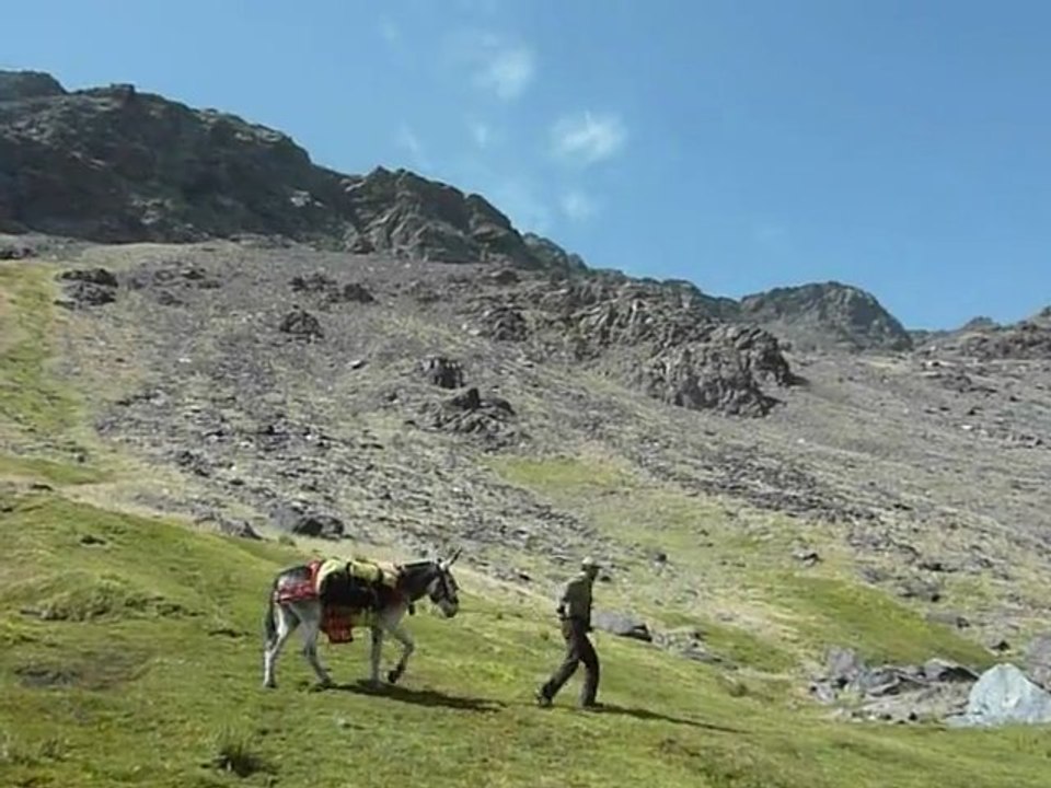 Como antaño