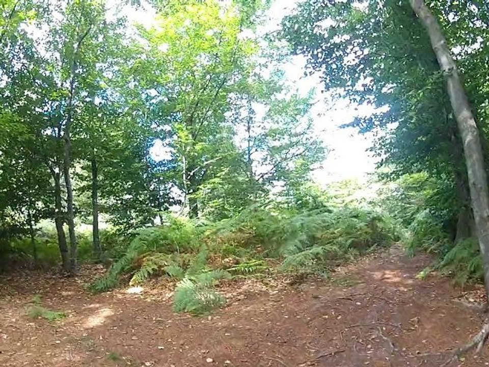GOPR0088