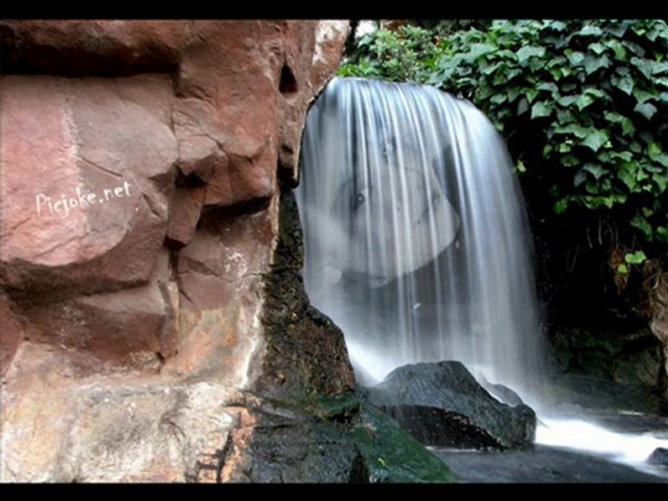 Sınıf Arkadaşları