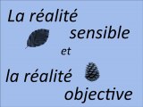 La réalité sensible et la réalité objective