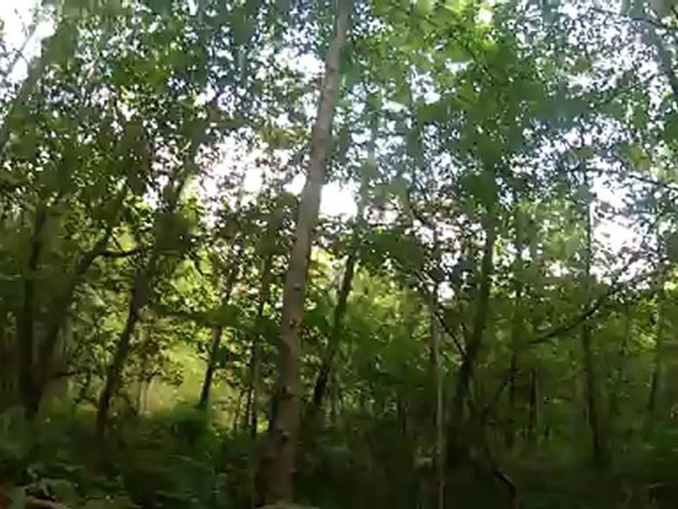 GOPR0091