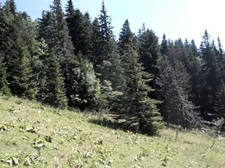 Vue sur le Chasseron (1607 m)  Jura Suisse