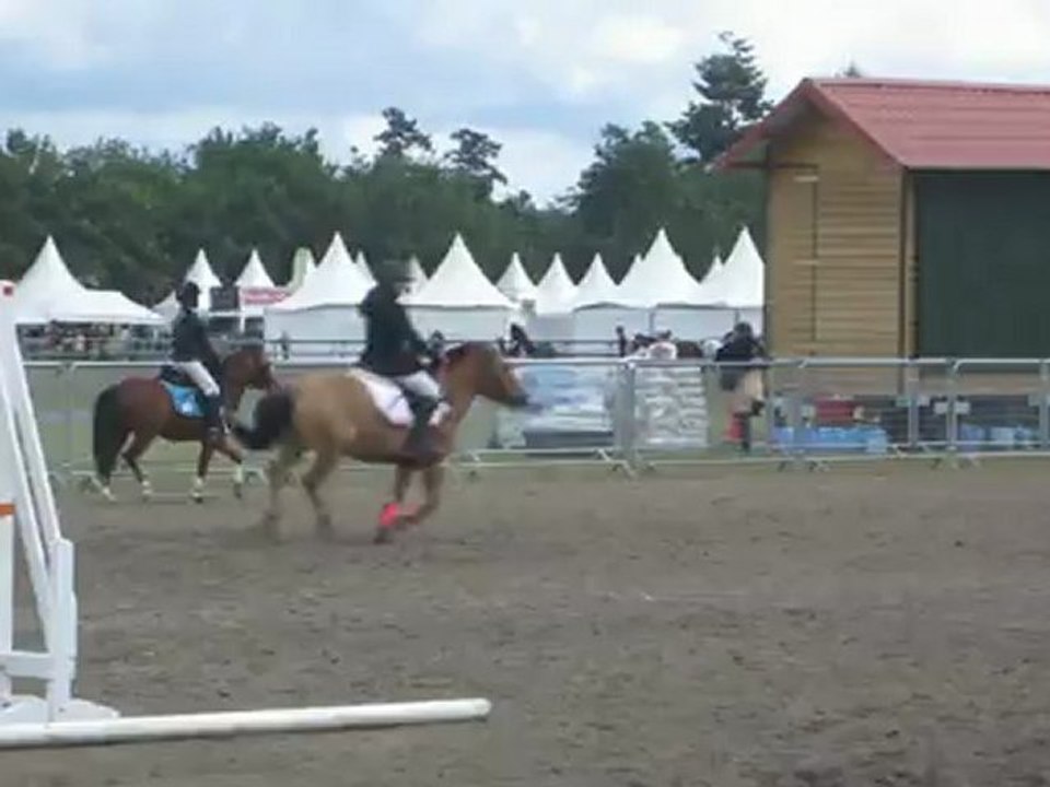 CSO Epreuve Poney 4 Finale Lamotte Beuvron 2012