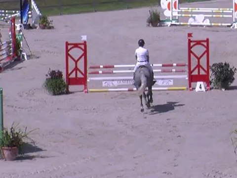 SOLOGNE_PONY_2012-4ans_D_Union Jack du luot - Etalon connemara