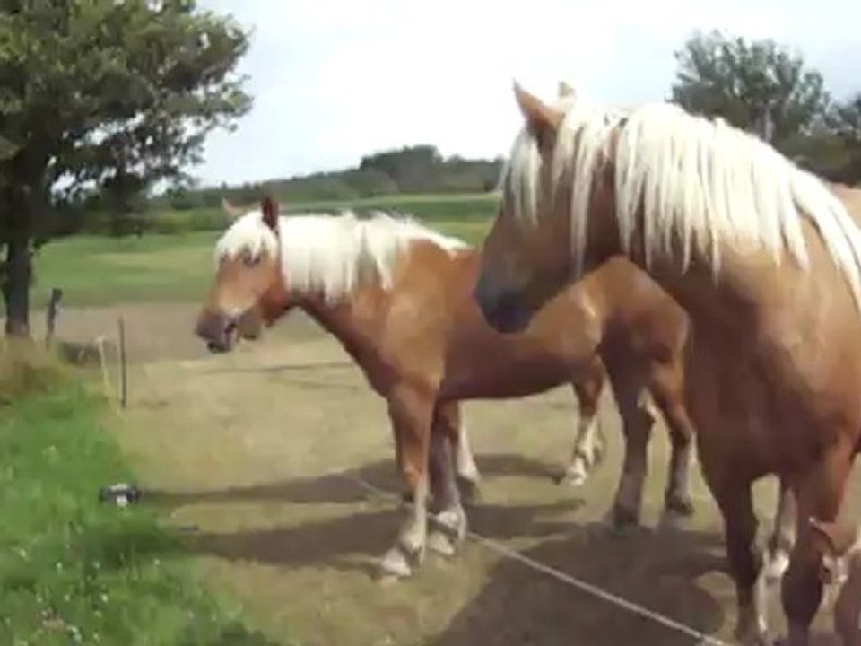 Bounty - la rencontre