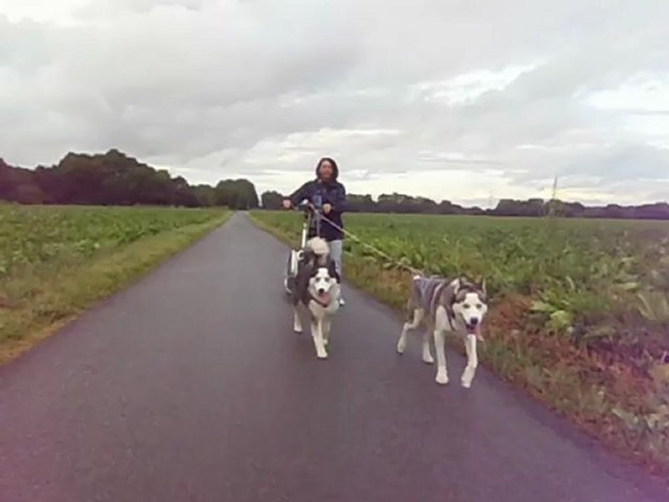 Training 1 Weena