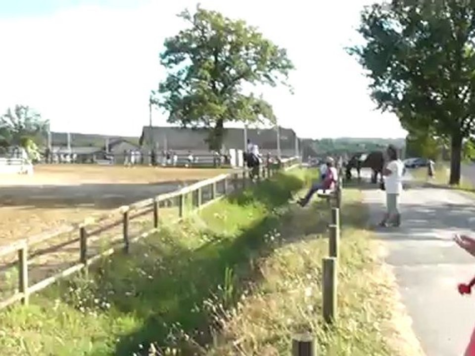 les vaseix