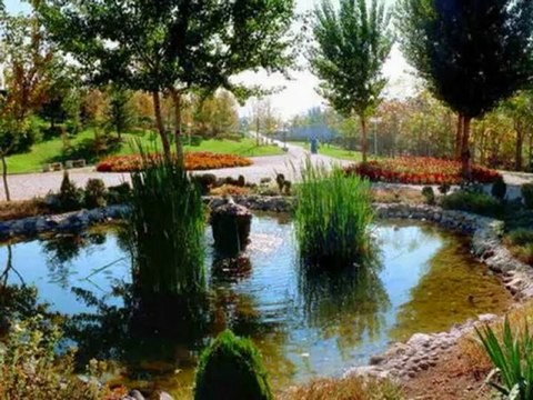 GÜNGÖR YILDIZ TRABZON AKCAABAT CEVİZLİK KÖYÜ: