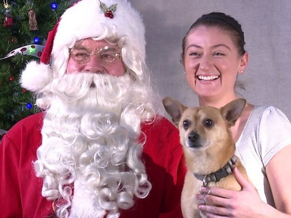 Holiday Dog Pics