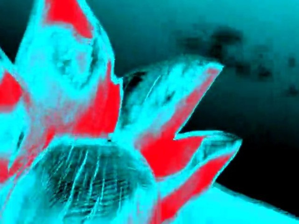 Miron - Angerville (sound and video by Miron)