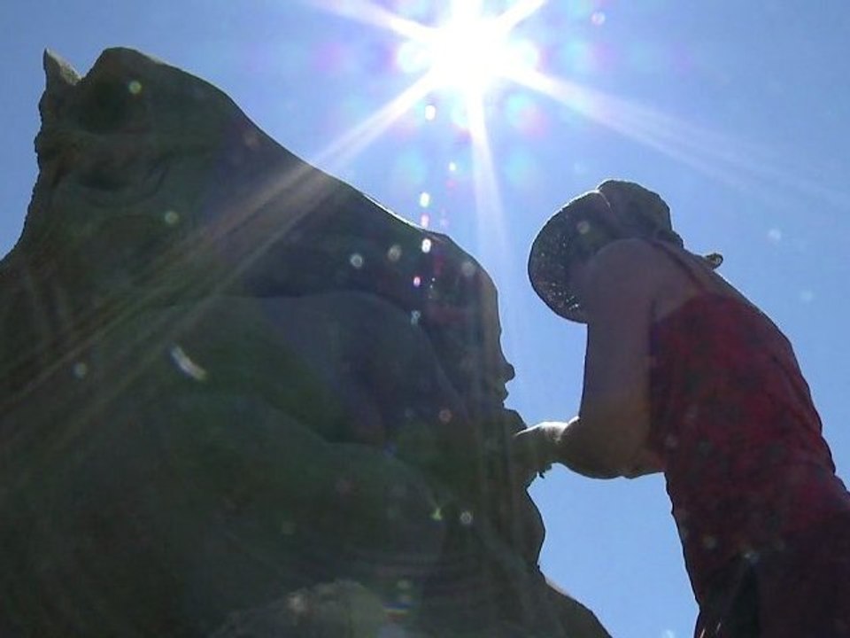 Sand Sculpting Competition 2011