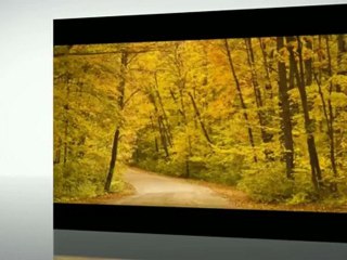 Subaru Sales Hadley Massachusetts CALL 888-697-6450