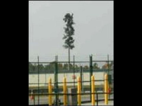 Radiofrequency Energy Sources (Radiation Meters) Radiofrequency Energy Sources