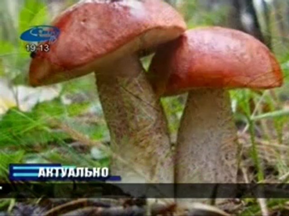Актуально 24.08.2012