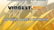 Дружба котика и крысок