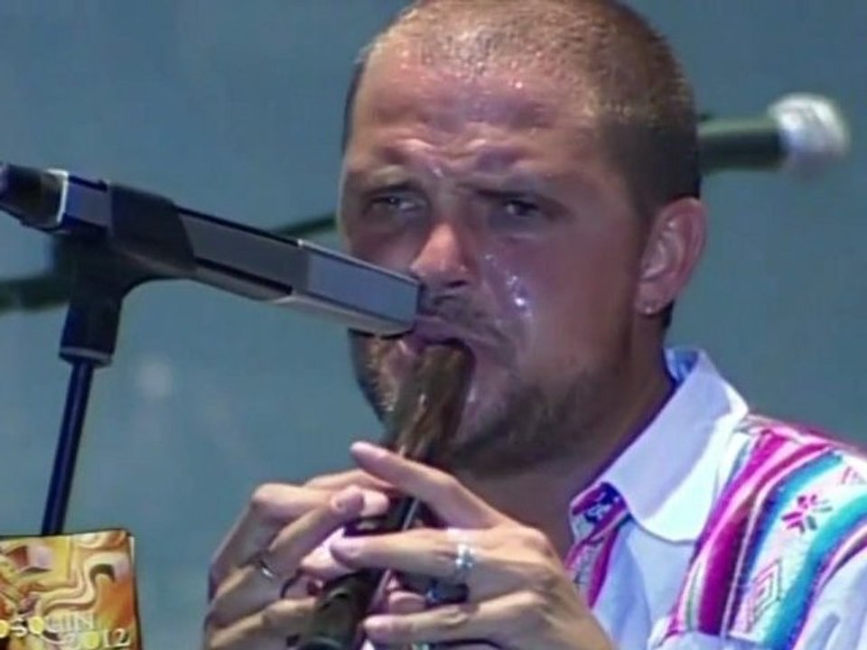 Los Tekis (HD) - Humahuaqueño & Poco a Poco & Ay Cariño - COSQUIN 2012