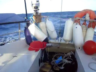 jouet 920 Takarii au portant !