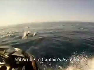 На гидроцикле в окружении дельфинов