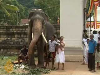 Sri Lanka's first ever elephant survey