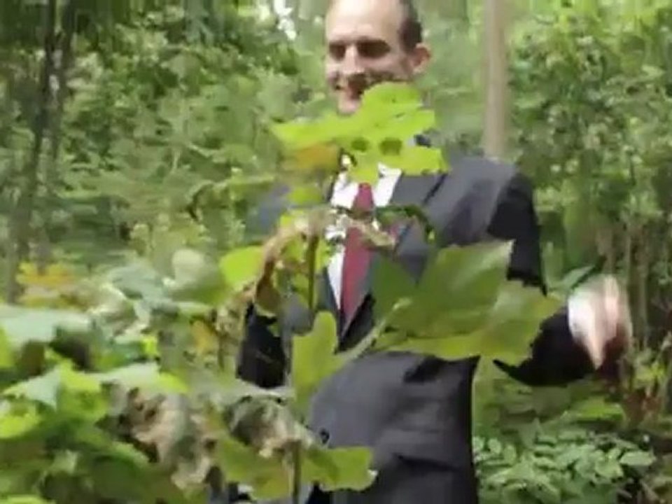 ماكس العجيب يكتشف حب السفر: | يوروماكس