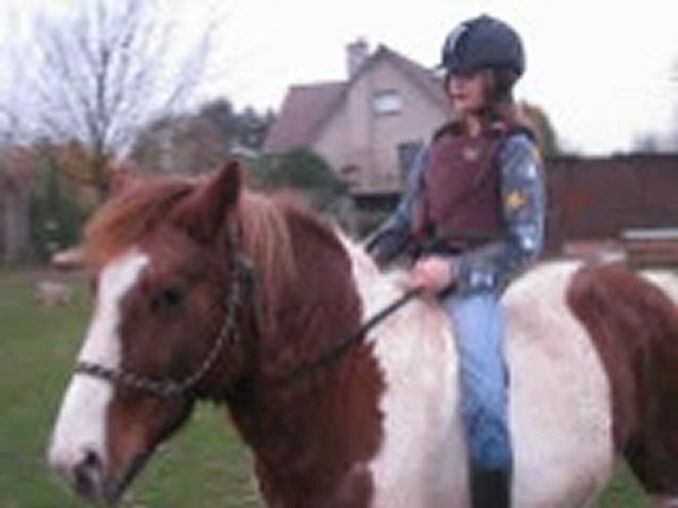 Nos début en éthologie !