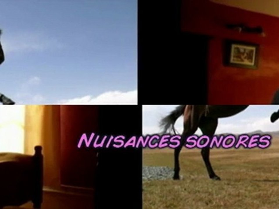 Nuisance sonores