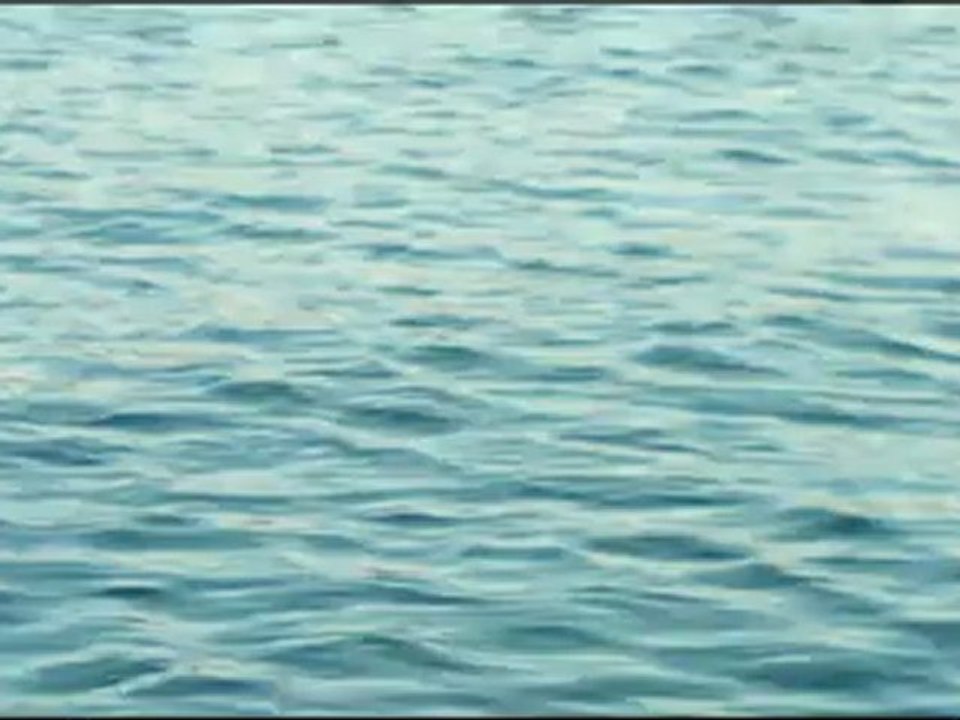 Baleines St Laurent 2012