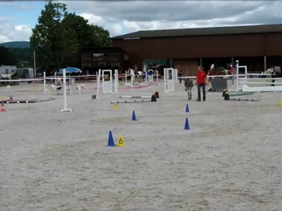 Müntschemier 2012 Travail au sol Merlin