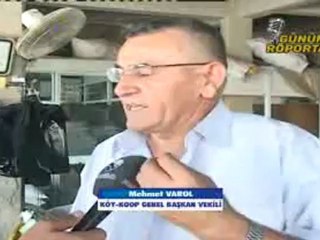 MEHMET VAROL Günün Roportajı - 23-08-12