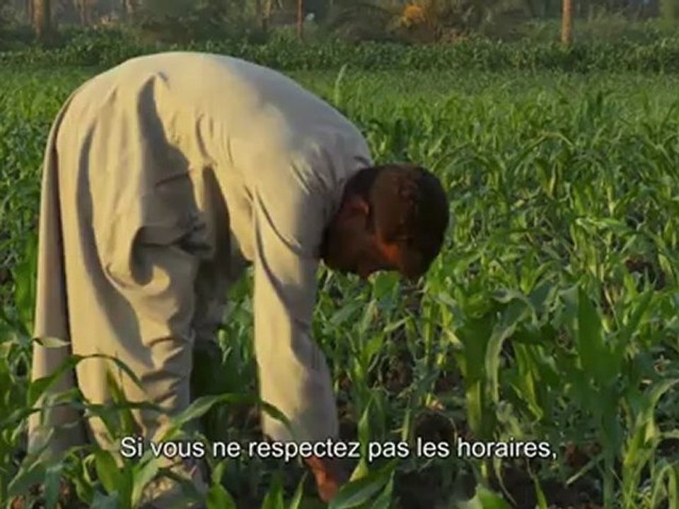 TEASER La Vierge, Les Coptes, et moi