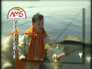 AMS Fishing Présentation DVD Pêches et techniques verticales
