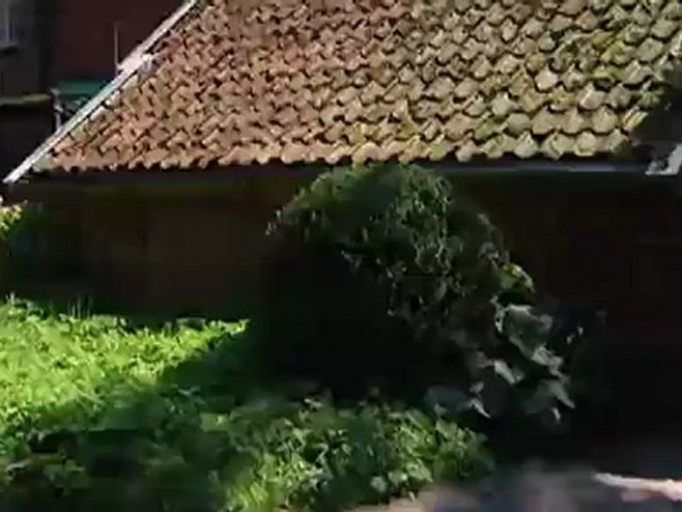 Islas frisias: vacaciones en la naturaleza | destino alemania