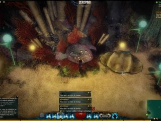 GW2 - Musical Puzzle - Forêt de Caledon