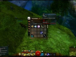 GW2 - Bond de Morgan - Forêt de Caledon