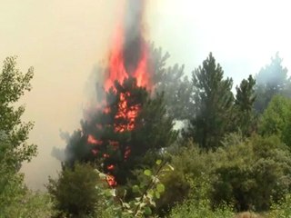 TOSYA ÖZBOYU KÖYÜNDE ORMAN YANGINI
