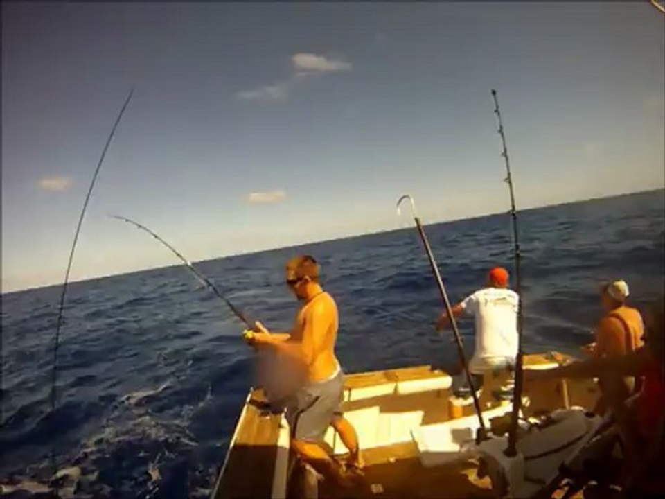 Teasing Wahoo from Bite me in Fiji