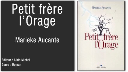 Paroles de Patients - Petit frère l'orage - Marieke AUCANTE