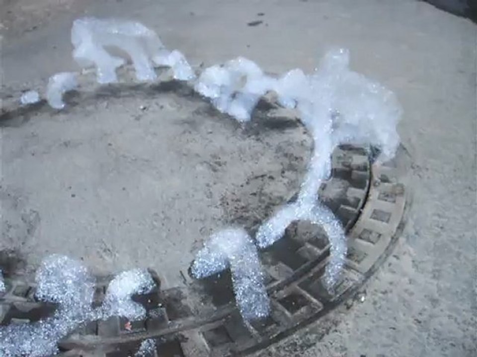Gullischaum