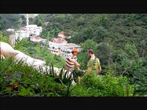 Fındık İlkel Teleferikle Taşınıyor