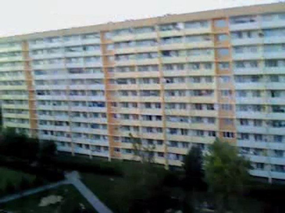 MOV00553