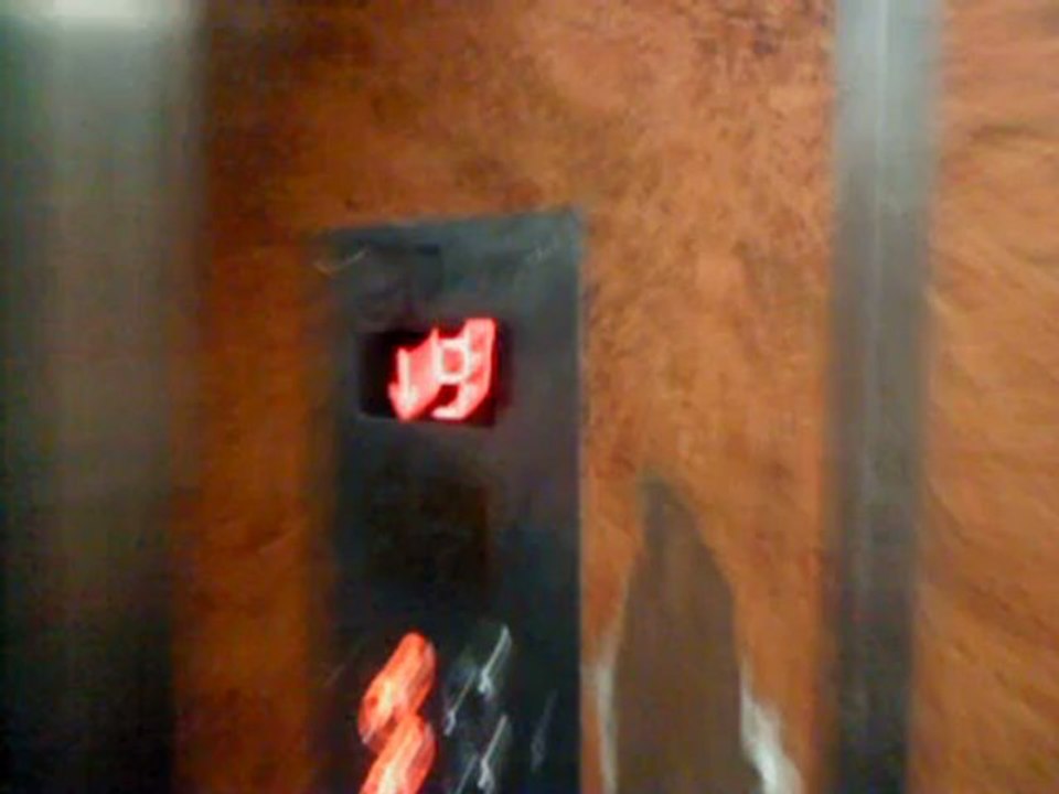 MOV00558