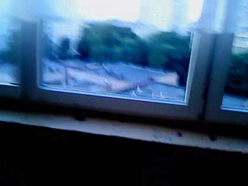 MOV00559