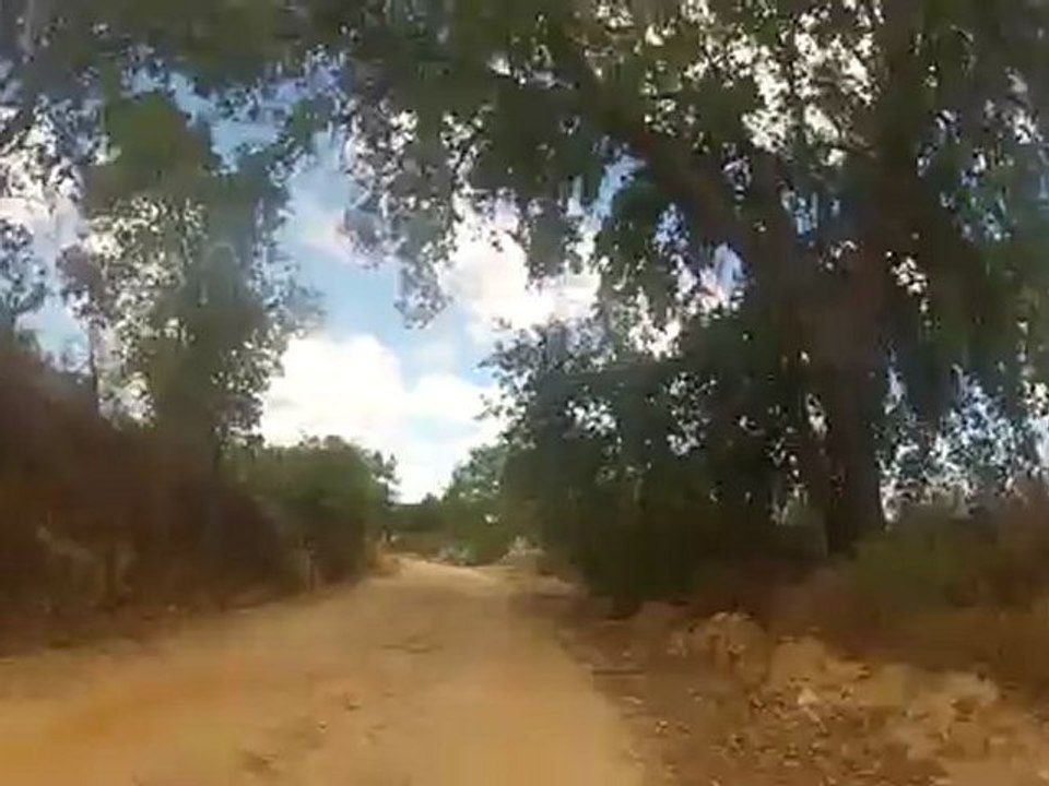 A caminho de Coruche