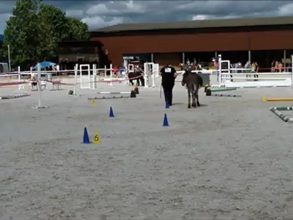 Müntschemier 2012 travail au sol Pipo