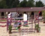 Lady - Grd Prix 1.20m