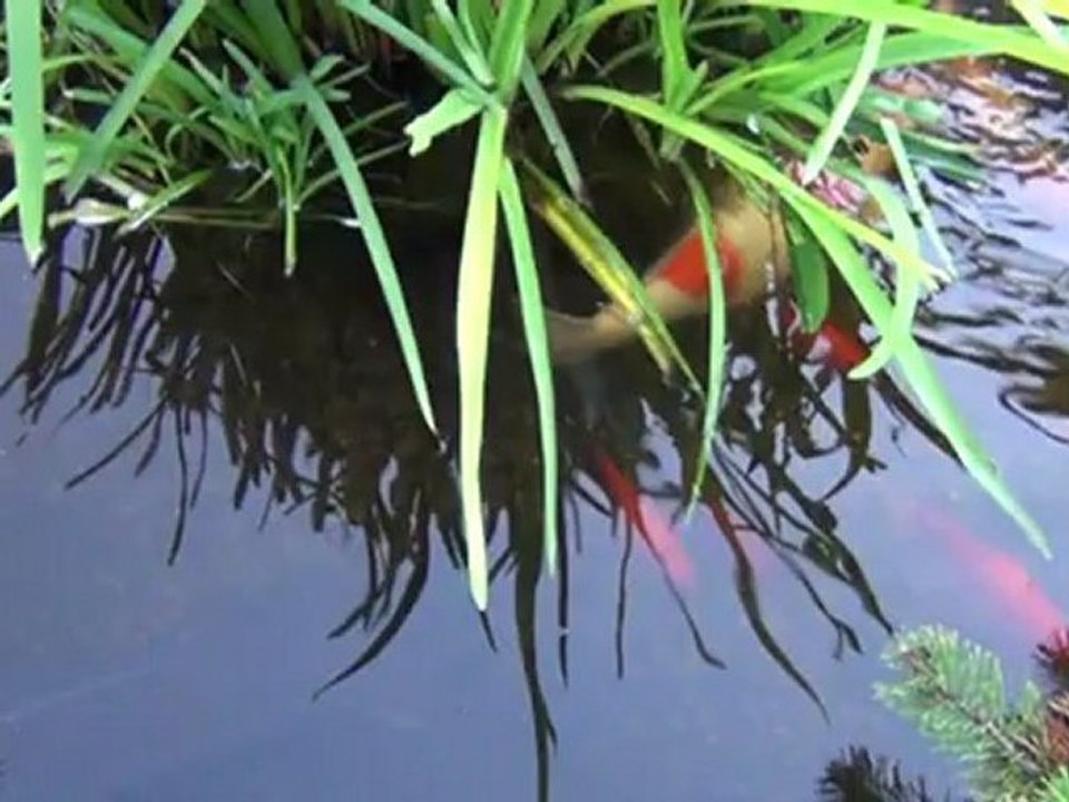 Bruges et Wervick aout 2012